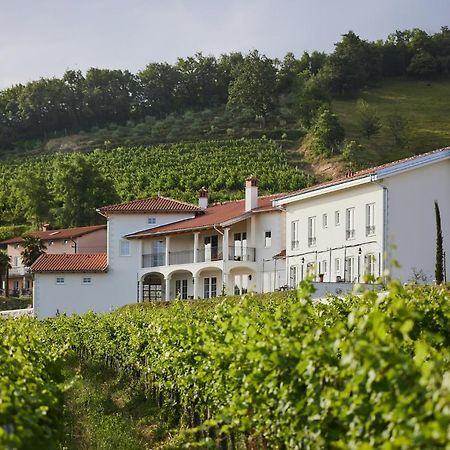Peterc Vineyard Estate Bed & Breakfast Kojsko Dış mekan fotoğraf