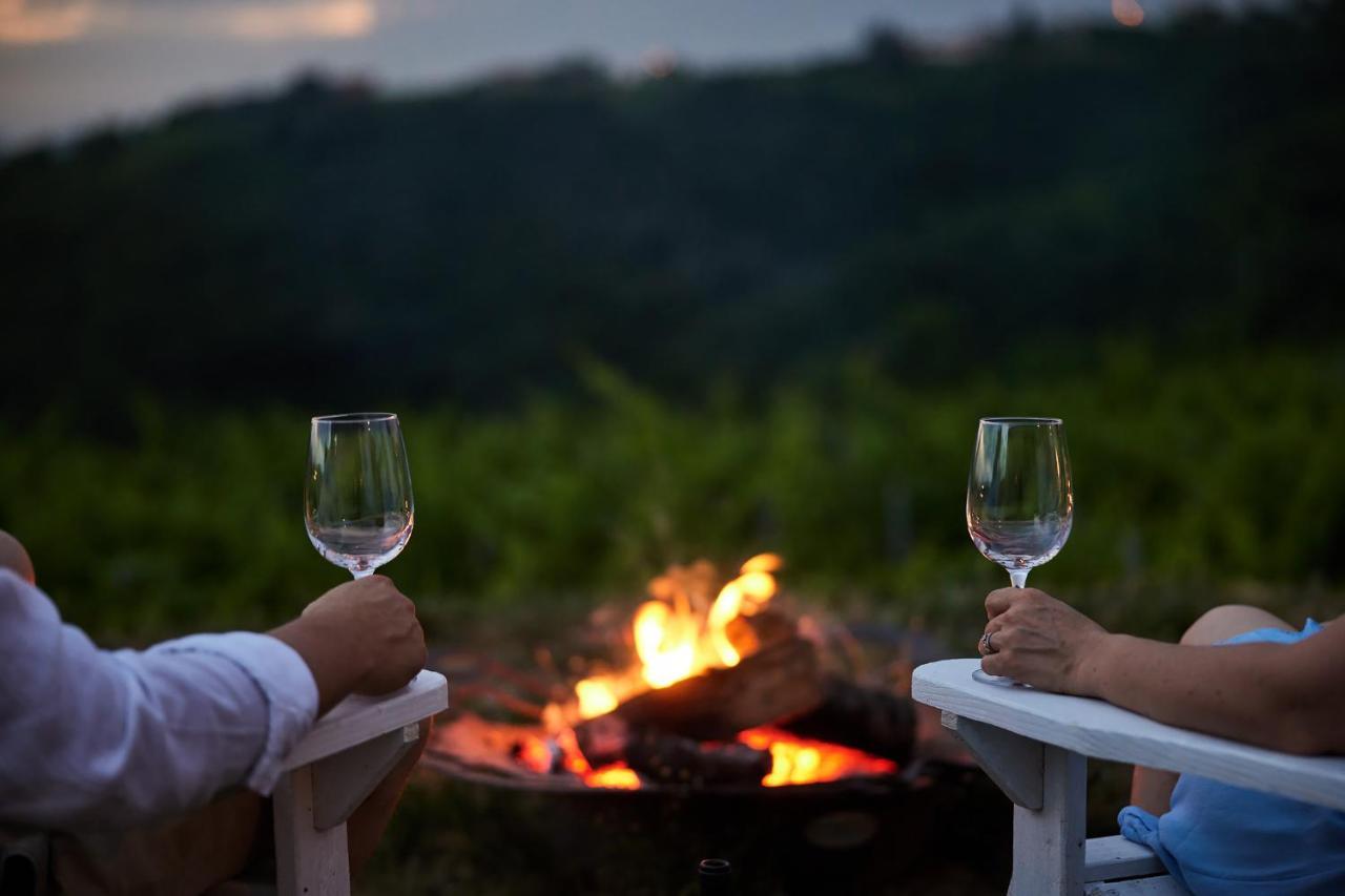 Peterc Vineyard Estate Bed & Breakfast Kojsko Dış mekan fotoğraf