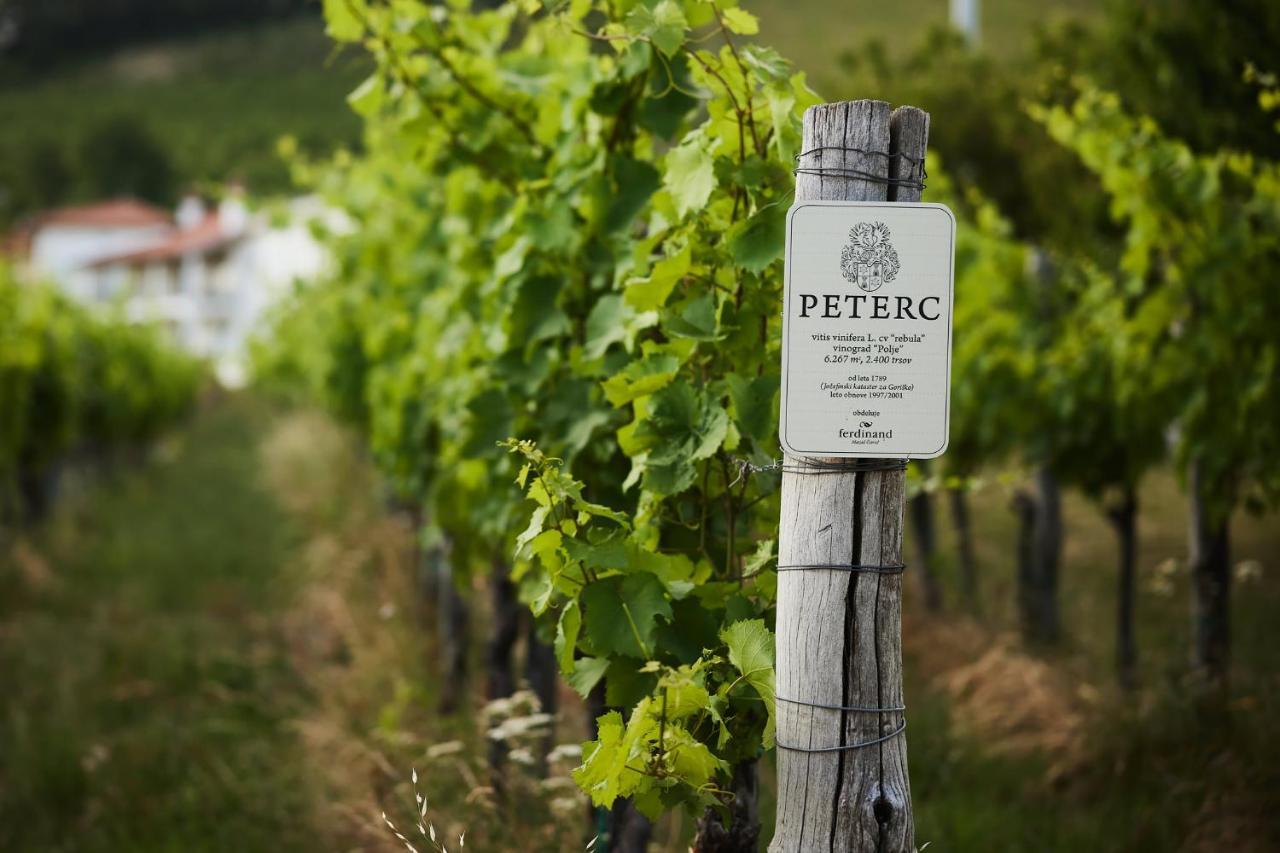 Peterc Vineyard Estate Bed & Breakfast Kojsko Dış mekan fotoğraf