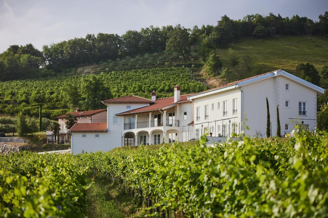 Peterc Vineyard Estate Bed & Breakfast Kojsko Dış mekan fotoğraf