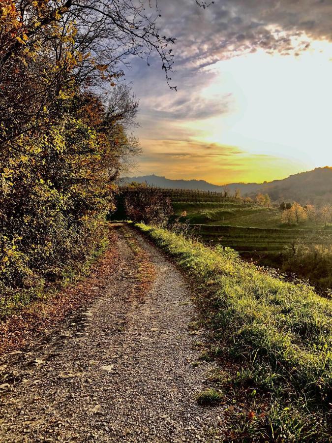 Peterc Vineyard Estate Bed & Breakfast Kojsko Dış mekan fotoğraf