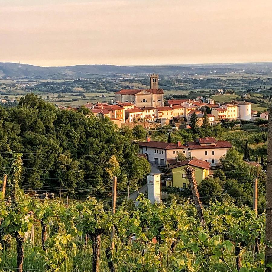 Peterc Vineyard Estate Bed & Breakfast Kojsko Dış mekan fotoğraf