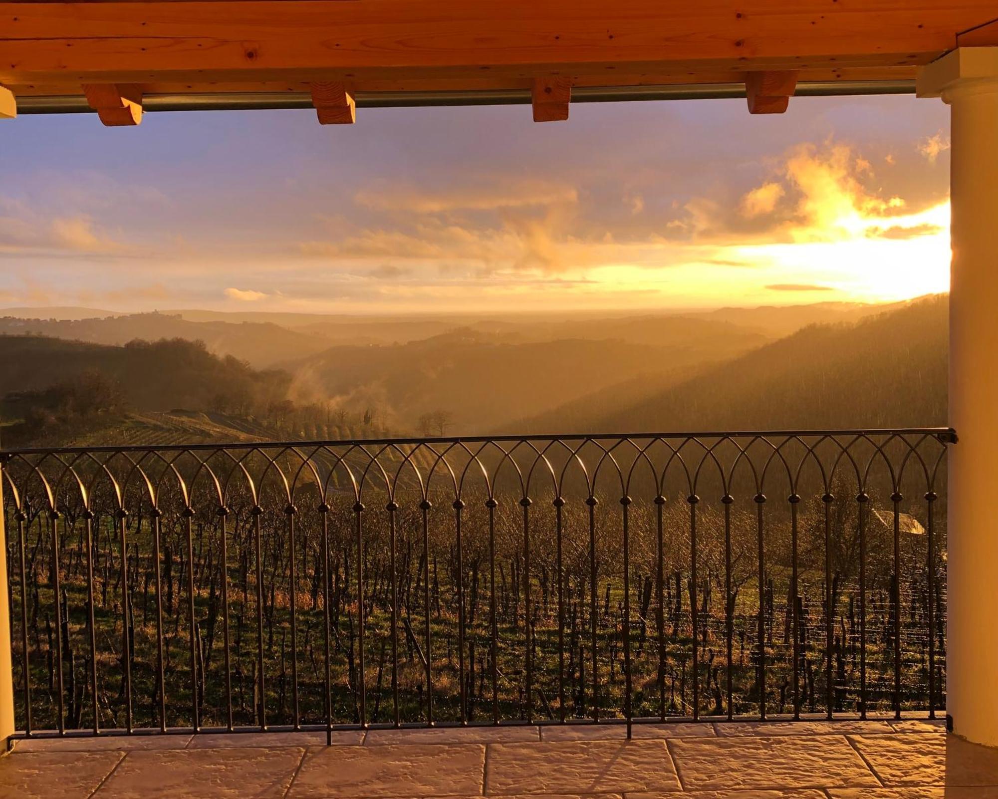 Peterc Vineyard Estate Bed & Breakfast Kojsko Dış mekan fotoğraf