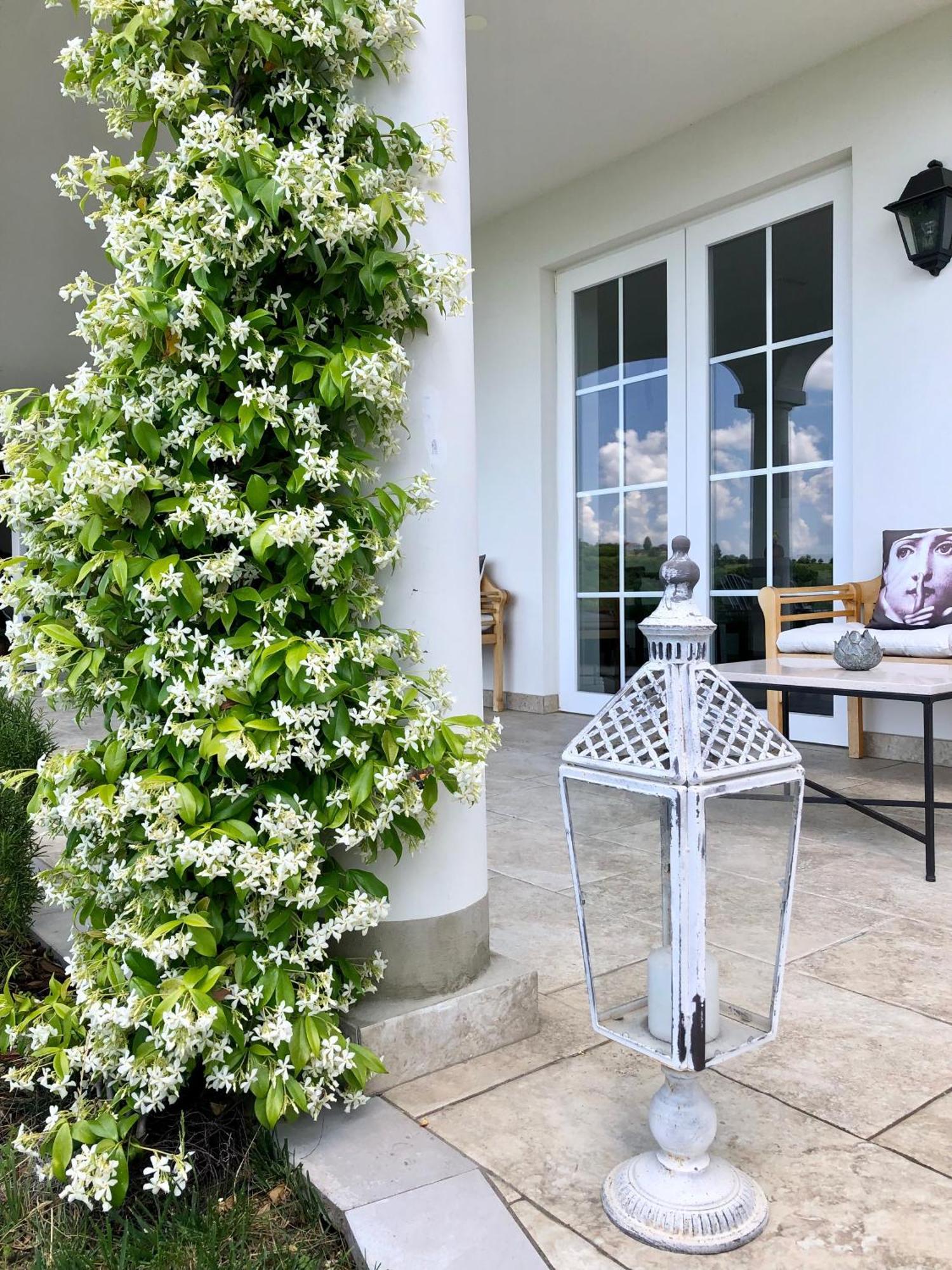 Peterc Vineyard Estate Bed & Breakfast Kojsko Dış mekan fotoğraf
