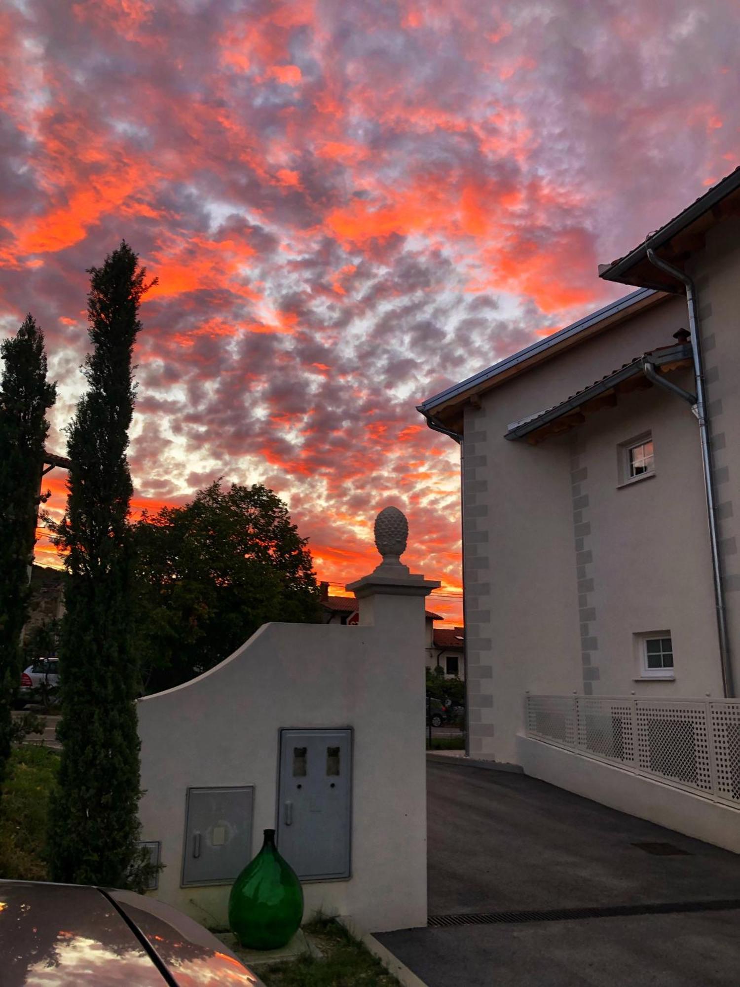 Peterc Vineyard Estate Bed & Breakfast Kojsko Dış mekan fotoğraf