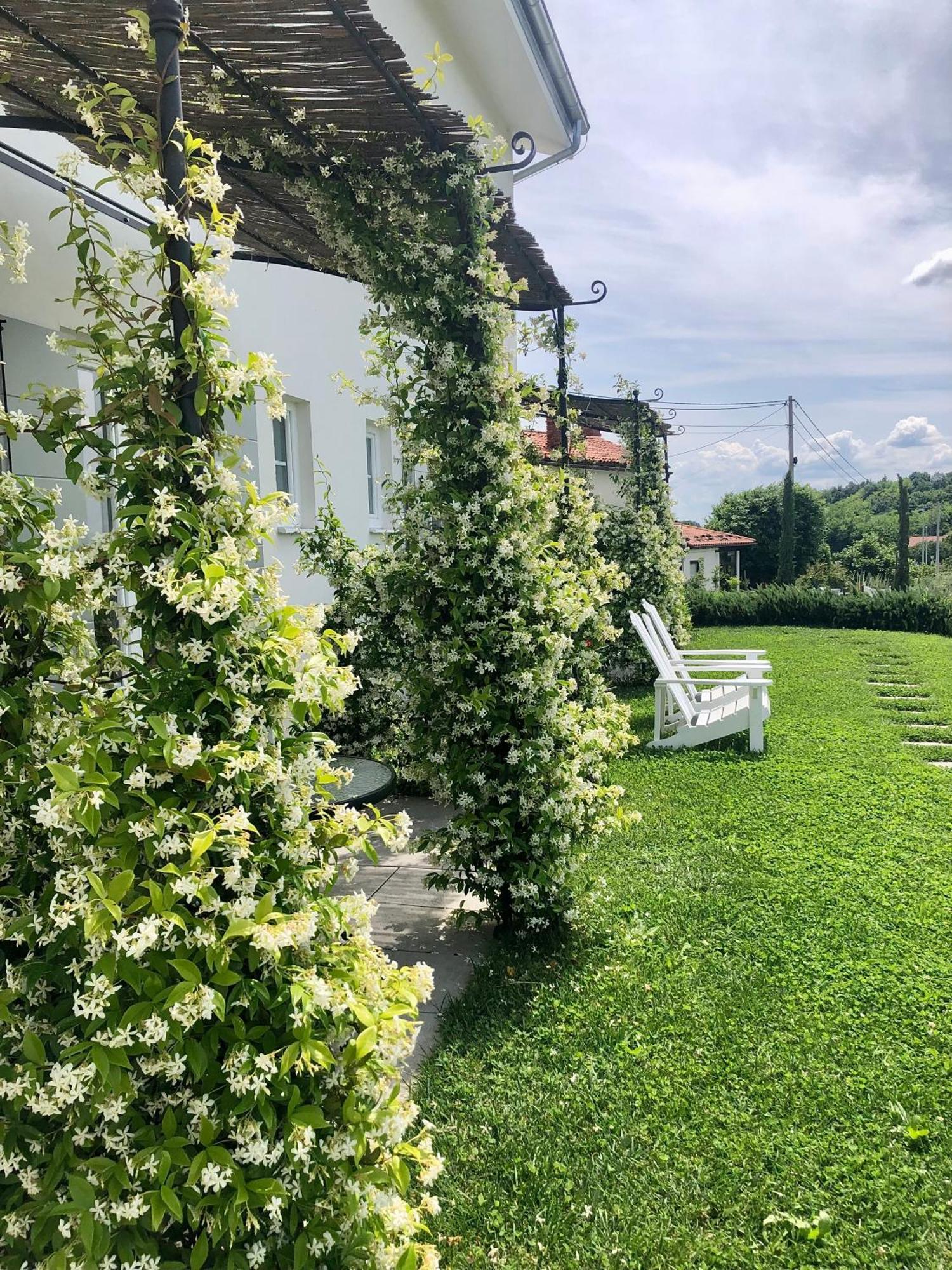 Peterc Vineyard Estate Bed & Breakfast Kojsko Dış mekan fotoğraf